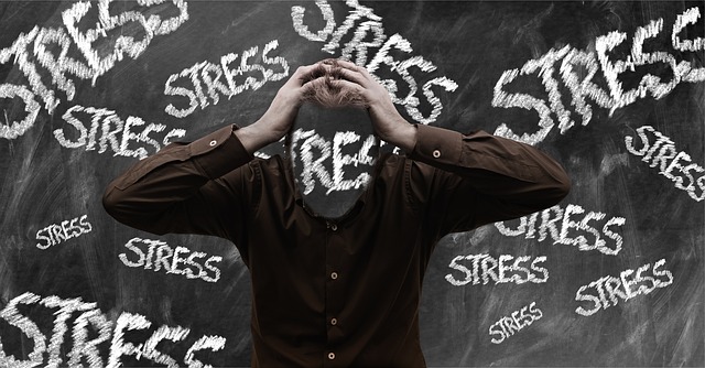 vliv stresu